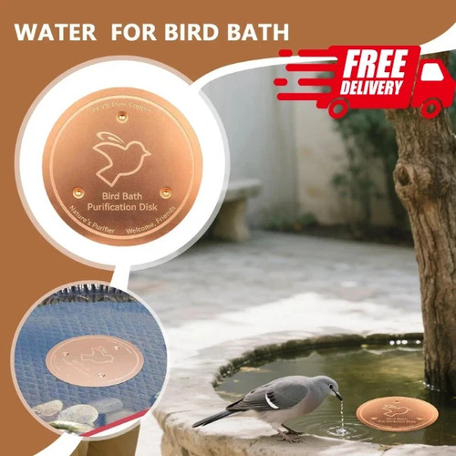 Bird bath copper disk - bath, 99.9%