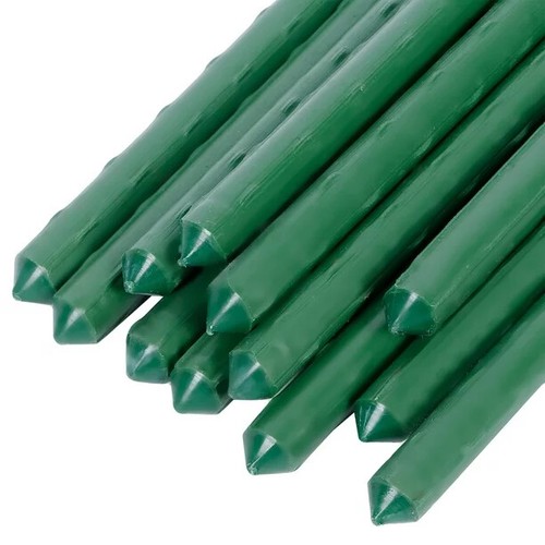 Green garden plant - plant, stakes