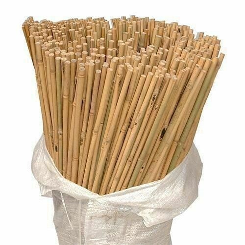 Bamboo canes thick - thick, stake